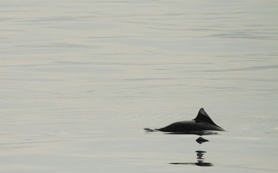 IMG_3381.jpg