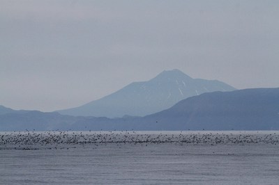 IMG_3388.jpg