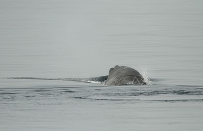 IMG_3492.jpg