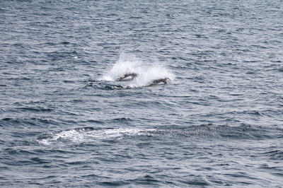 IMG_3551.jpg