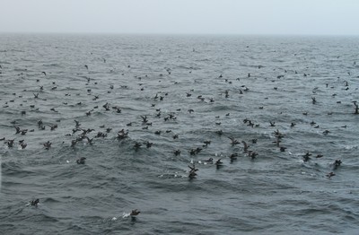 IMG_3554.jpg