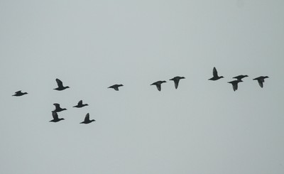 IMG_3643.jpg