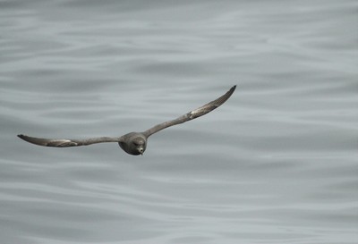 IMG_3672.jpg