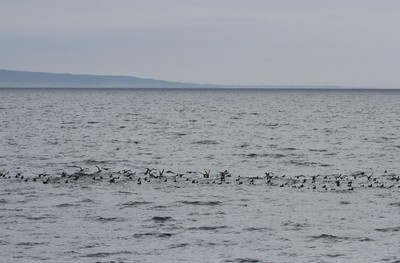 IMG_3715.jpg