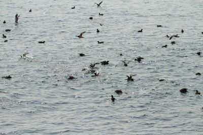 IMG_3746.jpg
