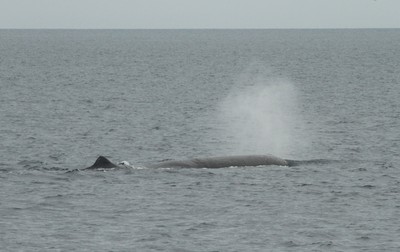 IMG_3752.jpg