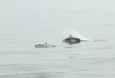 IMG_3879.jpg