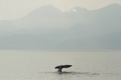 IMG_3928.jpg