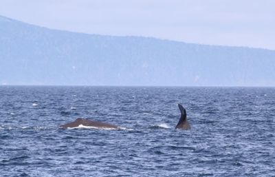 IMG_3966.jpg