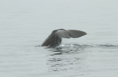 IMG_3967.jpg