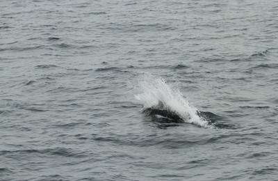 IMG_3990.jpg