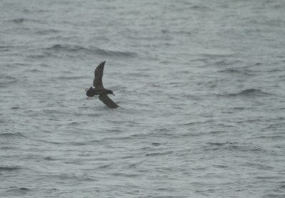 IMG_4013.jpg