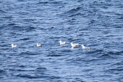 IMG_4146.jpg