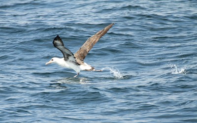 IMG_4147.jpg