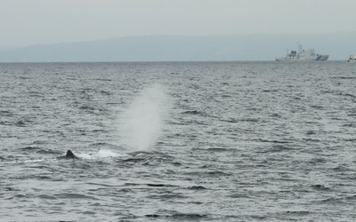 IMG_4155.jpg