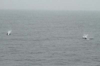 IMG_4278.jpg