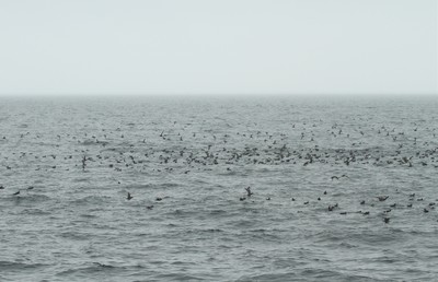 IMG_4415.jpg