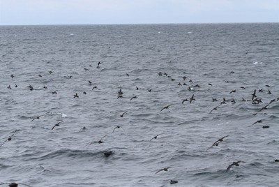 IMG_4439.jpg