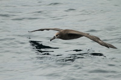 IMG_4486.jpg