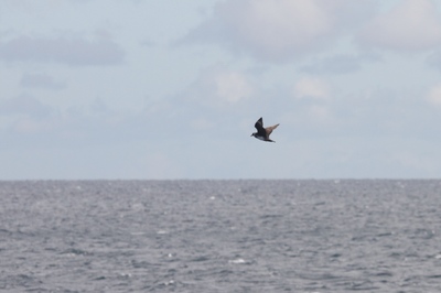IMG_4538.jpg