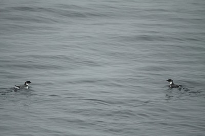 IMG_4628.jpg