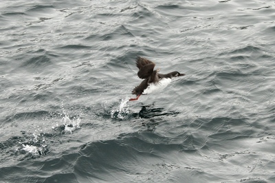 IMG_4678.jpg