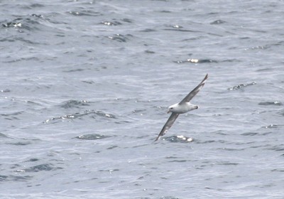 IMG_4698.jpg