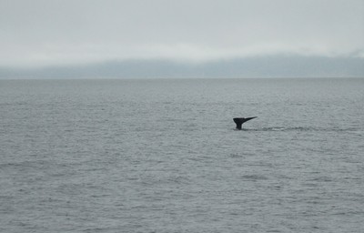 IMG_4702.jpg