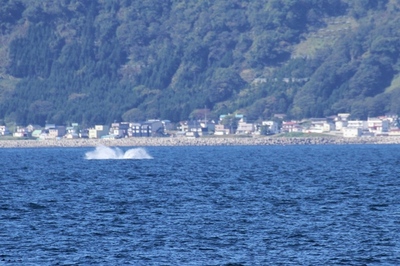 IMG_4733.jpg