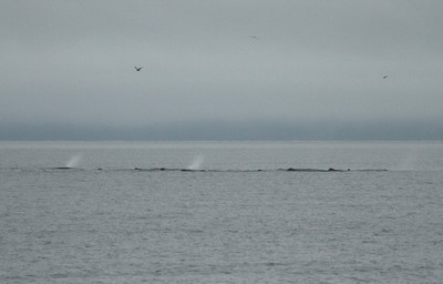 IMG_4759.jpg