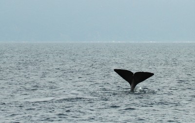 IMG_4843.jpg