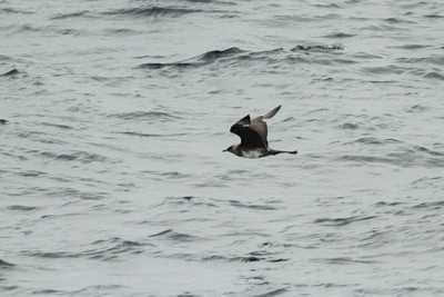 IMG_5084.jpg
