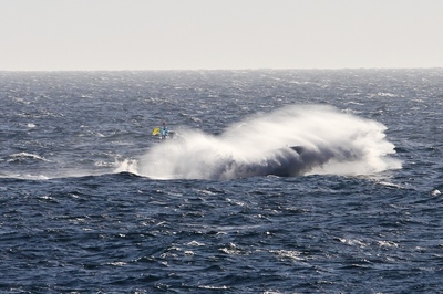 IMG_5134.jpg