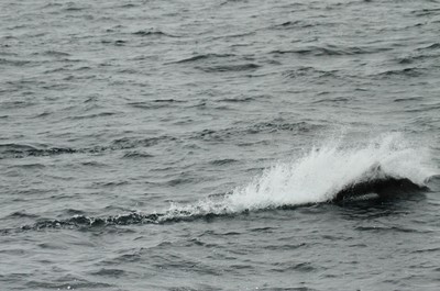 IMG_5149.jpg