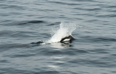 IMG_5175.jpg