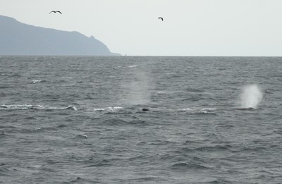 IMG_5259.jpg