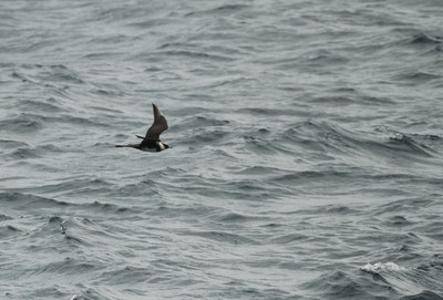 IMG_5381.jpg