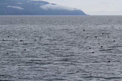 IMG_5407.jpg