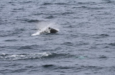 IMG_5451.jpg