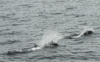 IMG_5479.jpg