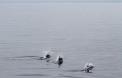 IMG_5556.jpg