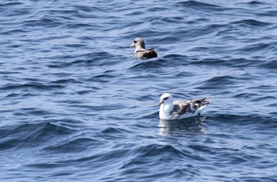 IMG_5575.jpg