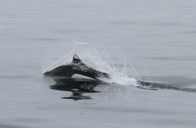 IMG_5580.jpg