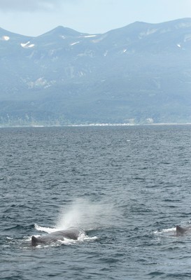 IMG_5594.jpg