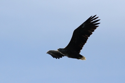 IMG_5606.jpg