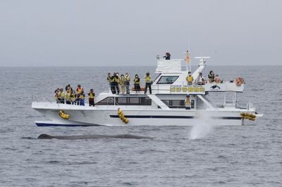 IMG_5625.jpg