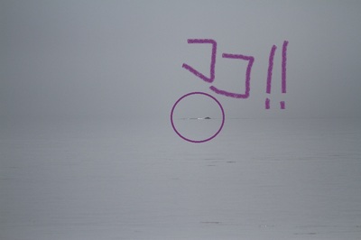 IMG_5792.jpg