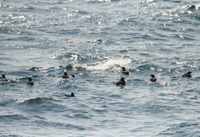 IMG_5843.jpg