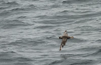 IMG_5867.jpg