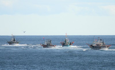 IMG_5920.jpg